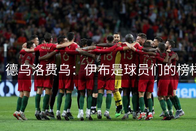 德乌洛费乌：伊布是球员们的榜样 用行动证明自己