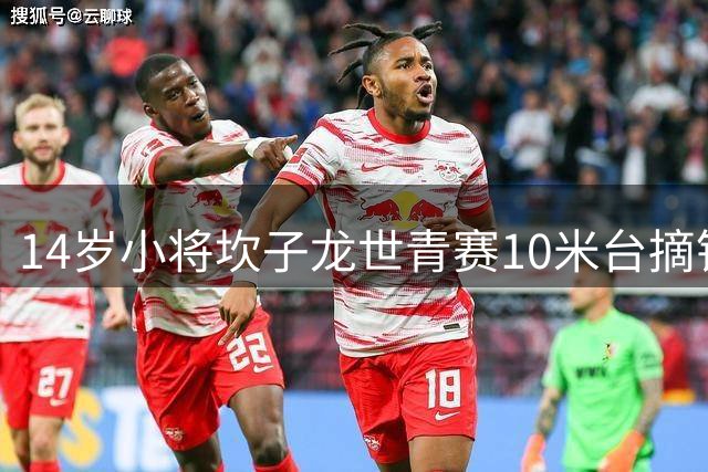 14岁小将坎子龙世青赛10米台摘银 中国再添奖牌